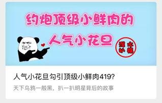 网红大瓜小说免费阅读 金主爆料 吃瓜真实爆料,金主爆料，吃瓜群众的真实爆料大揭秘
